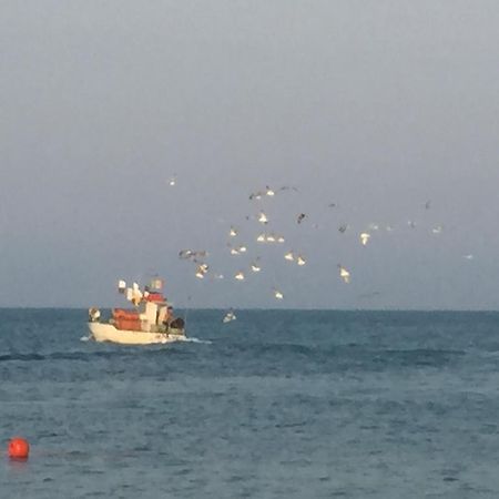 Apartmán Mansarda Mare Altidona Exteriér fotografie