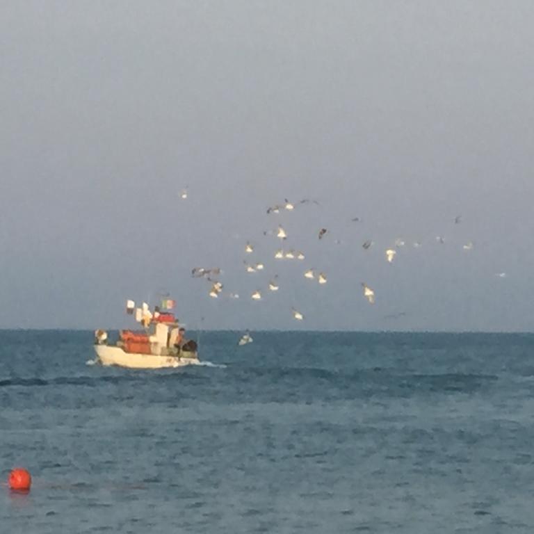 Apartmán Mansarda Mare Altidona Exteriér fotografie
